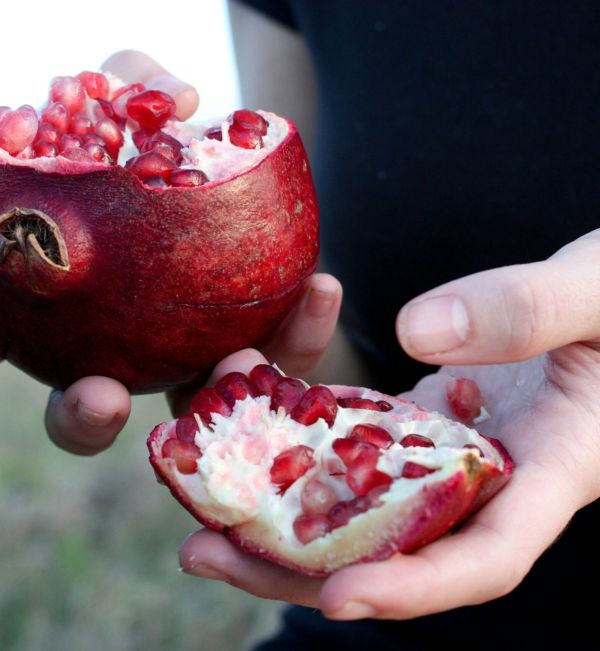 VANTAGE WINS THREE 2025 C&T ALLĒ AWARDS FOR INGENUITY IN RESEARCH & DEVELOPMENT FOR BEAUTY AND PERSONAL CARE APPLICATIONS