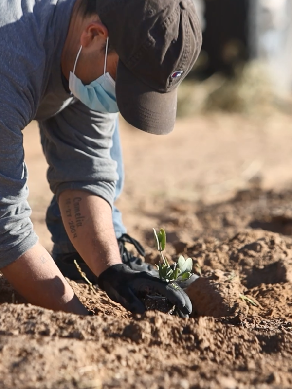 VANTAGE WINS THREE 2025 C&T ALLĒ AWARDS FOR INGENUITY IN RESEARCH & DEVELOPMENT FOR BEAUTY AND PERSONAL CARE APPLICATIONS