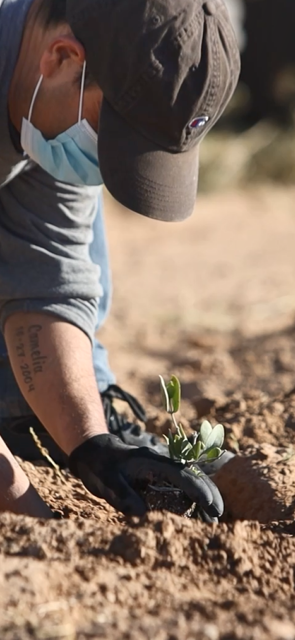 VANTAGE WINS THREE 2025 C&T ALLĒ AWARDS FOR INGENUITY IN RESEARCH & DEVELOPMENT FOR BEAUTY AND PERSONAL CARE APPLICATIONS