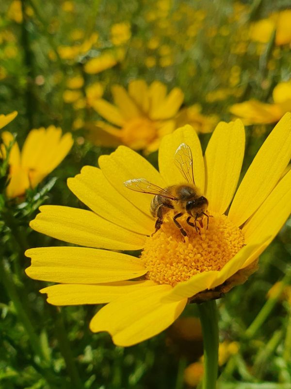 VANTAGE WINS THREE 2025 C&T ALLĒ AWARDS FOR INGENUITY IN RESEARCH & DEVELOPMENT FOR BEAUTY AND PERSONAL CARE APPLICATIONS